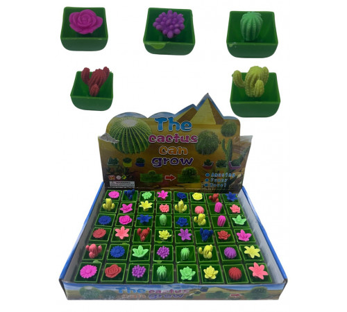 CR2643 Квітка ростишка