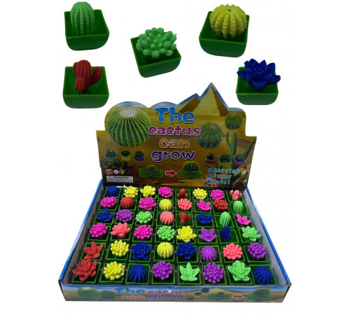 CR2643/1 Квітка ростишка