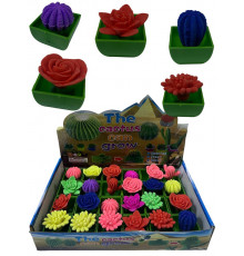 CR2643/2 Ростишка Квіти