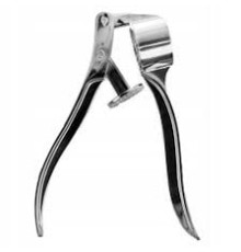 Часник Звичайна (120)