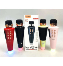 Мікрофон WSTER WS-2711(40)