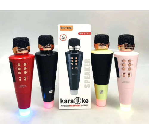 Микрофон WSTER WS-2711(40)