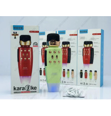 Мікрофон WSTER WS-2011 (40)