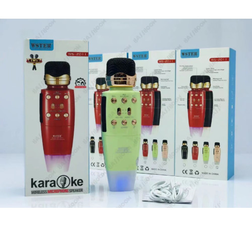 Микрофон WSTER WS-2011 (40)