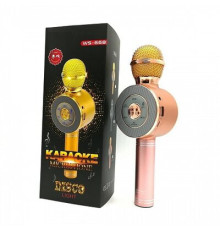 Мікрофон 668 WS