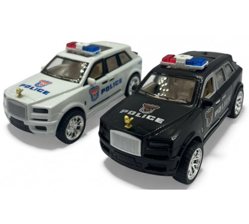 mm1771 Поліцейська машина