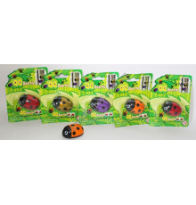 P2761 Іграшка жучок на магнічі