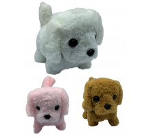 sa1142 Собачки