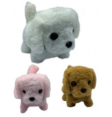 sa1142 Собачки