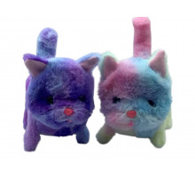 sa13001 Різнокольоровий Котик