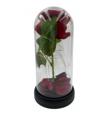 SA1492 Роза червона в колбі