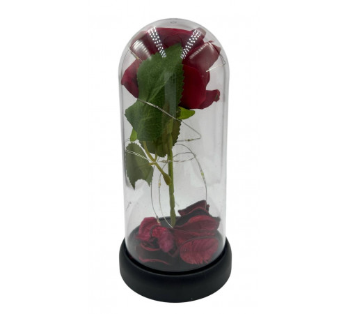 SA1492 Роза червона в колбі