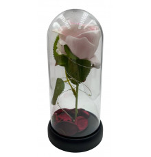 SA1494 Роза розова в колбі