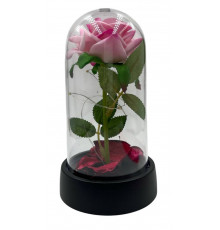 SA1495 Роза в колбі
