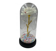 SA1496 Роза біла в колбі