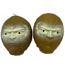 sa1683 Піна Герой