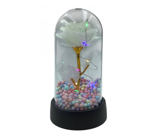 sa739 троянда в колбі метелик