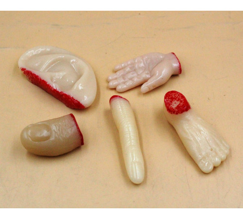 SM1500 Лізуни - Частини тіла. Приколи.