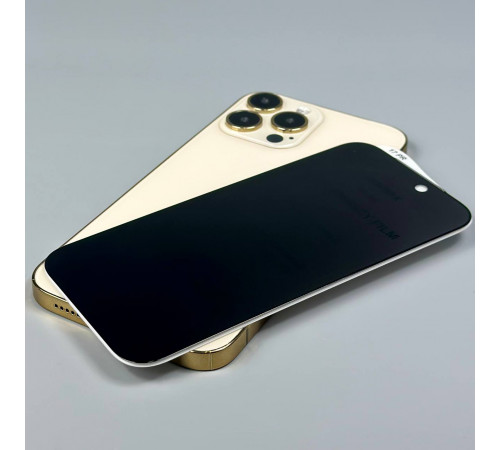 Захисне скло Remax WL-03 Future Ultra-soft Series Privacy iPhone 15 Pro Max