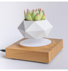 Магнітний левітаційний горщик для рослин HCNT Magnetic Levitating Pot Wood Grain ( )