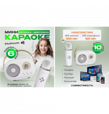 Портативна Bluetooth колонка для караоке з бездротовим мікрофоном, дитяча акустика Вт