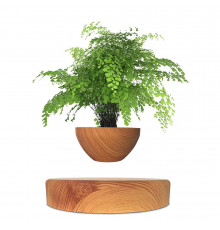 Магнітний левітаційний горщик для рослин HCNT Magnetic Levitating Pot Wood Grain ( )