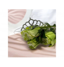 Тонка діадема